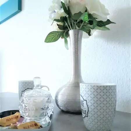 Apartmán Comfort Basel Airport 1a46 *